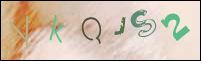 صورة التسجيل