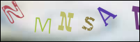 صورة التسجيل