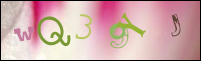 صورة التسجيل