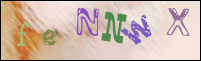صورة التسجيل