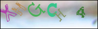 صورة التسجيل
