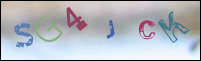 صورة التسجيل