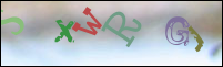 صورة التسجيل