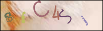 صورة التسجيل