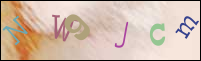 صورة التسجيل