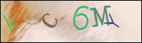 صورة التسجيل