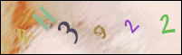 صورة التسجيل