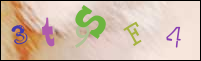 صورة التسجيل