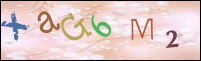 صورة التسجيل