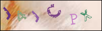 صورة التسجيل