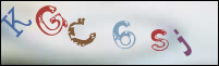 صورة التسجيل