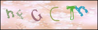 صورة التسجيل