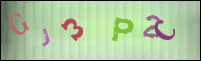 صورة التسجيل