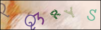 صورة التسجيل