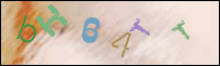 صورة التسجيل