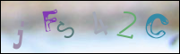 صورة التسجيل