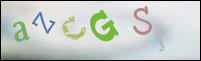 صورة التسجيل