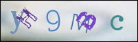 صورة التسجيل