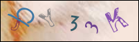 صورة التسجيل