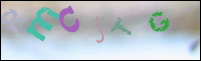 صورة التسجيل