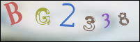 صورة التسجيل